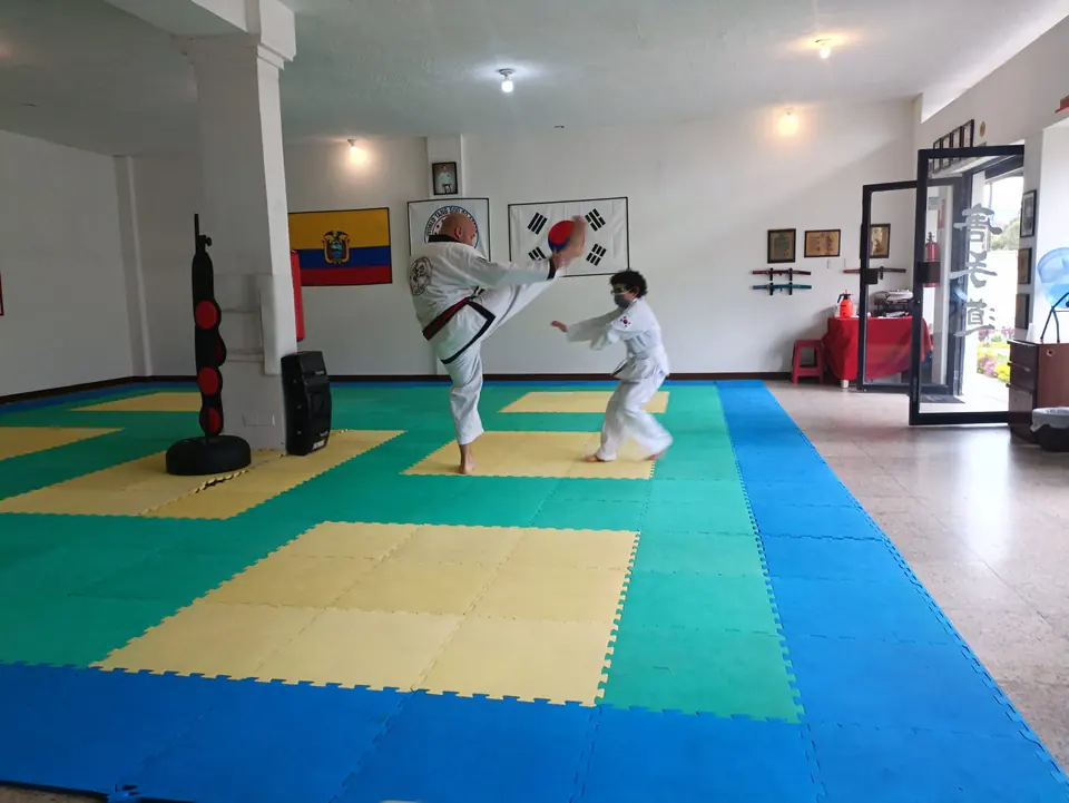 Estudiantes practicando patadas sobre el tatami